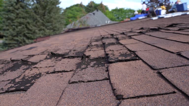 Emergency Roof Repair in Springboro, OH